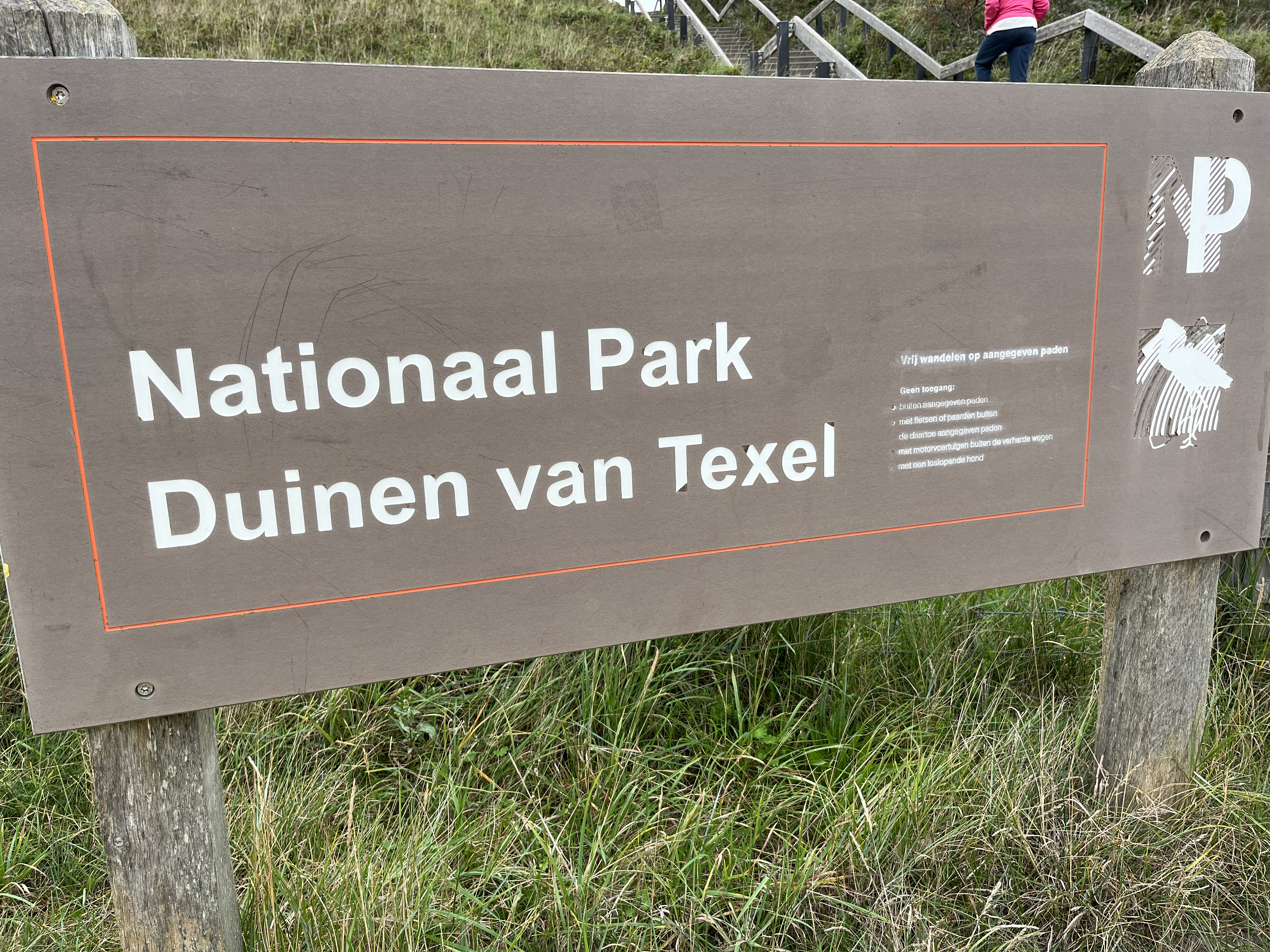 Duinen (Texel). Foto van Gerda van der Meer.